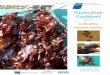 Aquaculture Explained - doc-developpement-durable.org · Aquaculture Explained Cultivating Palmaria palmata This document is an output of the project, PBA/SW/07/001, „Development