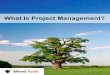What Is Project Management? - Mind Tools · What Is Project Management? | MindTools.com . tools . What Is Project Management? 