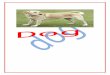   · Web viewby which dogs diverged are controversial.[4] Canis lupus familiaris is listed as the name for the taxon that is broadly used in the scientific community and recommended