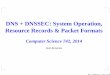 DNS + DNSSEC: System Operation, Resource Records & Packet ... · A zone ﬁle is a set of DNS Resource Records (RRs), each with several parts, separated by spaces .. Label host or