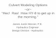 Culvert Modeling Options ~or~ “Hec! Ras! How HY-8 to get ...ftp.txdot.gov/pub/txdot-info/des/presentations/desbrgconf07/mercier culverts.pdf · Culvert Modeling Options ~or~ “Hec!