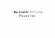 The Innate Immune Response · Innate immunity . The first line of defense always ready to prevent and eradicate infections. Adaptive immunity . Develops later, after exposure to microbes,