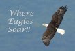 Where Eagles Soar!! 5 Grad Plan for Parent...NT 9th Grade th10 thGrade th11 Grade 12 Grade SOCIAL STUDIES, Advanced Social Studies Pathway World Geography, On-Level or PreAP/IB (1)