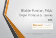 Bladder Function 101 - Holistic Core Restore · Urinary Tract Infections –ie., Cystitis, can be related to sexual intercourse, incomplete emptying of the bladder, during menopause