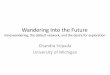 Wandering Into the Future - IPPM · 2017-01-19 · Wandering Into the Future mind wandering, the default network, and the desire for exploration Chandra Sripada University of Michigan