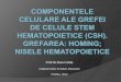 Institutul Clinic Fundeni, Bucuresti Oradea, Celulare Grefa CSH_DC.pdf The pluripotent SC = the embryonic