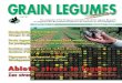 Grain Legumes No 49 - CSICGrain Legume Research Le magazine de l’Association Européenne de Recherche sur les Légumineuses à graines AEP 12, avenue George V, 75008 Paris, France