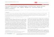 REVIEW Open Access Acanthamoeba polyphaga mimivirus and ... · REVIEW Open Access Acanthamoeba polyphaga mimivirus and other giant viruses: an open field to outstanding discoveries