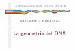 Geometria del DNA (x pdf) - Unicammat.unicam.it/piergallini/home/seminari/DNA/GeometriaDNA.pdf · Growing polypeptide chain OH Messenger RNA direction of ribosome movement on mRNA