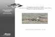 Alberta Piping Plover Recovery Plan, 2002-2004: Final Program … · 2016-02-19 · Implementation of the Alberta Piping Plover Recovery Plan, 2002-2004: Final Program Report Alberta