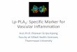 Lp-PLA2: Specific Marker for Vascular inflammation · 2017-07-04 · • Lp-PLA2 is potentially a marker of vascular inflammation, a risk factor, a prognostic biomarker, and ultimately