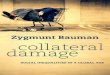 Collateral Damage - download.e- Introduction: Collateral damage of social inequality The moment an electrical