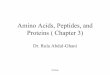 Amino Acids, Peptides, and Proteins ( Chapter 3)...Chiral center: αC bound to 4 different groups ( except Gly) Due to the tetrahedral arrangement around the α-carbon. a.a. has 2