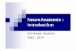 Dominique Hasboun 2013 - 2014 · 2013-09-02 · NeuroAnatomie : Introduction Dominique Hasboun 2013 - 2014. Généralités Traitement de l’information Névraxe cerveau, Cervelet,