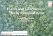 Plants and Environment: The hydrological cycle BauerGottwein... · Outline • The global hydrological cycle and the plants’ role in it • Plants and water quantity – Plant evapotranspiration