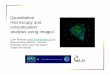 Quantitative microscopy and colocalisation analysis using ... colocalisation analysis using ImageJ.pdf · Quantitative microscopy and colocalisation analysis using ImageJ Colin Rickman