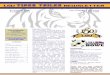LSU Tiger Tailer newsletter 6.21sites01.lsu.edu/wp/lsucom/files/2012/03/LSU-Tiger-Tailer-newsletter-6.21.pdfLSU TIGER TAILER NEWSLETTER At the end of September, the Collegiate Licensing