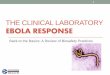 THE CLINICAL LABORATORY EBOLA RESPONSE - TN.gov · THE CLINICAL LABORATORY EBOLA RESPONSE. Back to the Basics: A Review of Biosafety Practices . 1 . Outline • Ebola Overview 