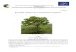 circabc.europa.eu …  · Web view19/08/2016  · EUROPEAN AND MEDITERRANEAN PLANT PROTECTION ORGANIZATION. ORGANISATION EUROPEENNE ET MEDITERRANEENNE POUR LA PROTECTION DES PLANTES