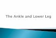 Chapter 19: The Ankle and Lower Leg · Genu valgum or varum? Difficulty with walking? Deformities, asymmetries or swelling? ... Severe pain, swelling, hemarthrosis, discoloration