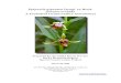 Epipactis gigantea Dougl. ex Hook. (stream orchid): A Technical … · 2006-07-05 · Peer Review Administered by Center for Plant Conservation Epipactis gigantea Dougl. ex Hook