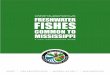 mississippi department of wildlife, fisheries, and …Magnolia Crappie Other Names Blackstripe, Blacknose, Speck, Speckled perch. Description The Magnolia crappie is spawned in a fish