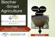 Biochar -Smart Agriculture3. Biochar Dairy feeding trail 4 x dairys of 250 cattle 1 fed Agspand biochar 90ml/head/day 1 fed Soft Agriculture - Pty Ltd –Mara Seeds Pty Ltd 200gms/head/day