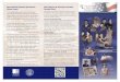 Veterans History Project Brochure · 2017-02-23 · the Veterans History Project. I know personally that I’d never discussed my experiences with my wife and children. They were