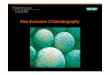 Size Exclusion Chromatography - Zhejiang Universitym-learning.zju.edu.cn/G2S/eWebEditor/uploadfile/20131220151323146.pdf · Size Exclusion Chromatography • The mass of beads in