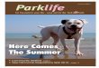 summer edition Parklife - Home | Vets on the Park · friend and you both save £5! If you recommend Vets on the Park to a friend, we’ll give each of you a voucher for £5 off *