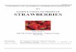 SAMPLE COSTS TO PRODUCE STRAWBERRIEScoststudyfiles.ucdavis.edu/uploads/cs_public/18/3e/... · 2011 Strawberries Costs and Returns Study South Coast, Ventura County (Oxnard) UC Cooperative