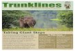 The Elephant Sanctuary in Tennessee · green pastures, hardwood forests, spring-fed ponds, and heated barns for cold winter nights. To provide education about the ... read updates