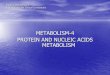 METABOLISM-4 PROTEIN AND NUCLEIC ACIDS …...2016/03/12  · AMINOACIDS CATABOLISM Aminoacid Biogenic amine Location and Function Histidine histamine In plants, bacteria, skin, lungs,