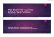 Palliative Care Emergencies - Bolton GP Trainingboltongptraining.org.uk/.../Palliative-Care-Emergencies.pdf · 2017-02-21 · 21/02/2017 5 MSCC Metastatic deposits push on the spinal