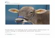 Evaluation of eating and rumination behaviour in cows ... · METHODOLOGY ARTICLE Open Access Evaluation of eating and rumination behaviour in cows using a noseband pressure sensor