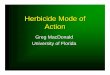 Herbicide Mode of Action - UF/IFAS OCIconference.ifas.ufl.edu/aw10/presentations/Tues/1500 MacDonald.pdfafter herbicide application leading to plant ... • process where the plant
