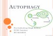 Autophagy - Botanik in Bonnds9.botanik.uni-bonn.de/zellbio/AG-Baluska-Volkmann/pdf/PCDU/09 - Autophagy.pdfAutophagy refers to a collection of tightly regulated catabolic processes,