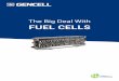 The Big Deal With FUEL CELLS...8 Proton Exchange Membrane Fuel Cells The proton exchange membrane fuel cell (PEMFC or PEM fuel cells) uses a polymer membrane as an electrolyte. The