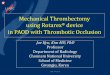 Mechanical Thrombectomy using Rotarex device in PAOD with ... · Mechanical Thrombectomy using Rotarex® device in PAOD with Thrombotic Occlusion Jae Kyu, Kim MD, PhD Professor Department