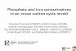 Phosphate and iron concentrations in an ocean carbon cycle ... · Phosphate and iron concentrations in an ocean carbon cycle model Daisuke Tsumune (CRIEPI), Keith Lindsay (NCAR),