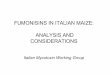FUMONISINS IN ITALIAN MAIZE: ANALYSIS AND CONSIDERATIONS · Tanzi F., (2005), “Funghi e micotossine su mais - Indagine Europea di Syngenta Seeds”, Atti della “Giornata del mais