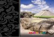 Guida Turistica di Yucatan - visitmexico.com...SPECIAL OFFERS, PROMOTIONS & DISCOUTS SOCIAL MEDIA KIDS CLUB AND MORE TRAVEL GUIDES Team up with e-Travel Solution and discover what