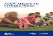 ACSM AMERICAN FITNESS INDEX...The Fitness Index approach aligns with the American College of Sports Medicine’s work to address health and fitness through research and education