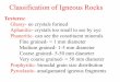 Classification of Igneous Rocks - Semantic Scholar...Classification of Igneous Rocks Textures: Glassy- no crystals formed Aphanitic- crystals too small to see by eye Phaneritic- can