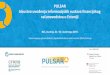 PULSAR...5 rješenja •Zajfinancijsko upravljanje, vođenje ednički informacijski sustav za podataka o ljudskim resursima i obračun plaća za sve državne agencije •E-račun (e-faktoriranje)