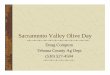 Sacramento Valley Olive Dayceglenn.ucdavis.edu/files/44586.pdf · 2008-06-27 · 2 Hours Continuing Ed State-issued licenses: sign attendance sheet and return completed Continuing