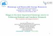 Bioenergy and Renewable Energy Resources · Husum RES messe and seminars Organized by Furgy, IHK – URS et al. Friday the 21.th of March, 2014 Biogas is the most important bioenergy