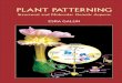 Plant Patterning: Structural and Molecular Genetic Patterning... Structural and Molecular Genetic Aspects