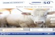 many...1 Only healthy animals bring the highest yield! Gummiwerk KRAIBURG Elastik GmbH & Co. KG Göllstraße 8 • 84529 Tittmoning • GERMANY Tel: +49/86 83/701-303 • e-mail: info@kraiburg-elastik.de