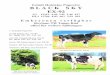 niewoehner-rinderembryonen.de · 2016-10-25 · Feindt Holsteins Pagewire BLACK SKY EX-92 3/3 12319 4,40 542 3,46 427 HL2 13706 4,82 661 3,59 492 Embry onen verfügbar Roy1ane-TH